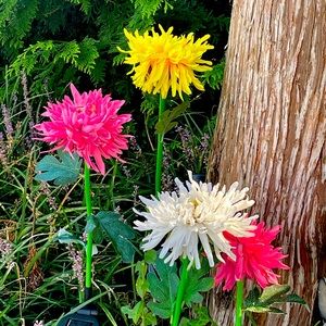 BUY 7 ITEMS 30% OFF TODAY ONLY !!!!!